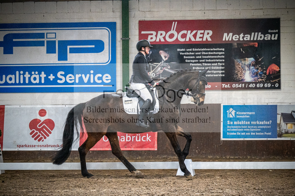 DOS_0921 | Entdecke hochwertige Reitturnierfotos von Foto Oger. Professionell, emotional und authentisch – jetzt Lieblingsmomente im Shop bestellen.Deutschlandweite Turnierfotografie. - Realisiert mit Pictrs.com