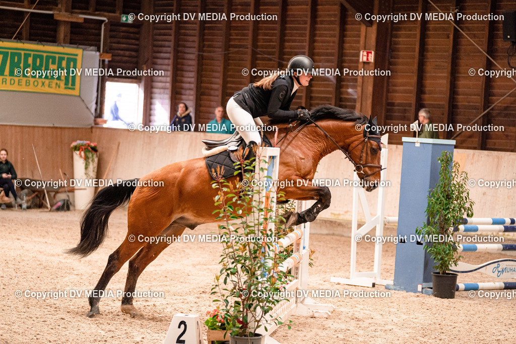 Springen Tag 2-472 | dv-media-shop - Realisiert mit Pictrs.com