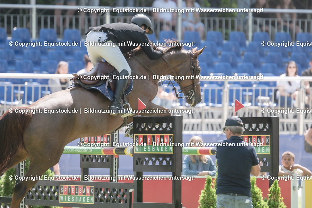 20230527_12_CSI4_Pfungstädter_0023 | equistock