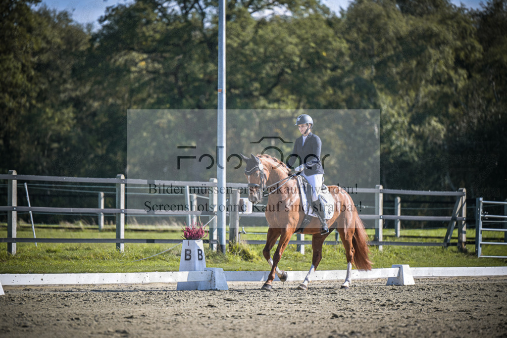 DOS_2782 | Entdecke hochwertige Reitturnierfotos von Foto Oger. Professionell, emotional und authentisch – jetzt Lieblingsmomente im Shop bestellen.Deutschlandweite Turnierfotografie. - Realisiert mit Pictrs.com