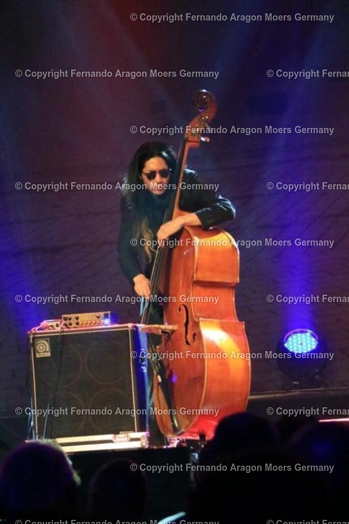 IMG_5310 | aragon-pics - Realisiert mit Pictrs.com