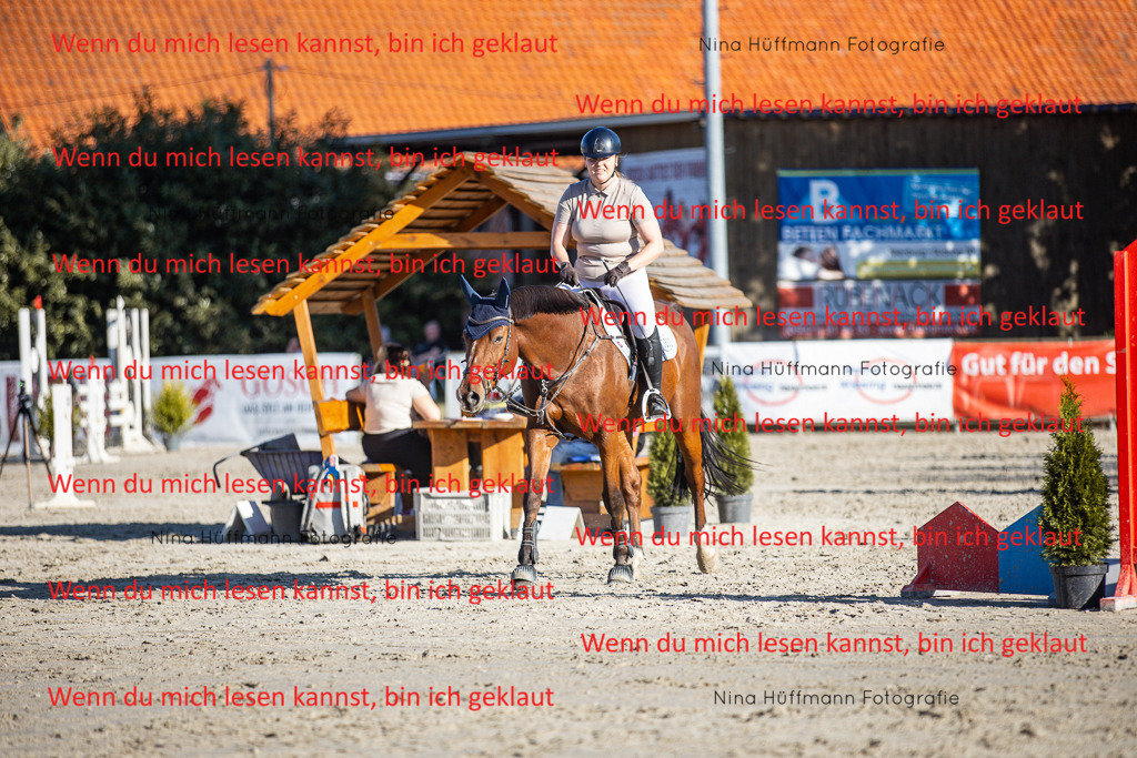 BK1A7717 | Turnierbilder Turnierfotos Nina Hüffmann Turnierfotografie Pferdefotografie Tierzeichnung Haustierzeichnung Pferdezeichnung Hundezeichnung Videograf  - Realisiert mit Pictrs.com