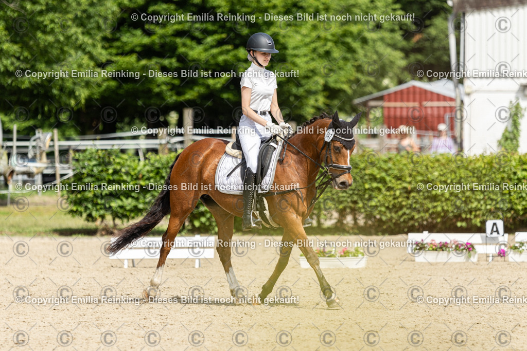 CL5A1287 | Emilia Reinking Fotografie - Realisiert mit Pictrs.com