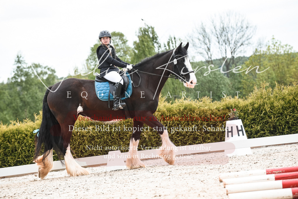 20230518_JK-Röhrsdorf-10-357 | Pferde- und Turnierfotografie in Westsachsen. Pferdeportraits, Auftragszeichnungen und intuitive Kunst.