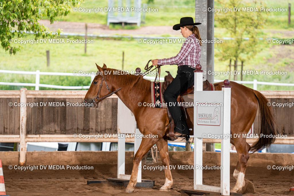 Erbach Tag 1-061 | dv-media-shop - Realisiert mit Pictrs.com