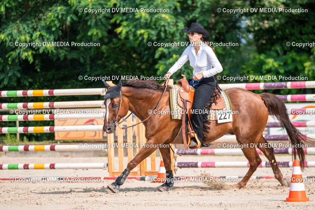 Zeiskam Tag 1-227 | dv-media-shop - Realisiert mit Pictrs.com