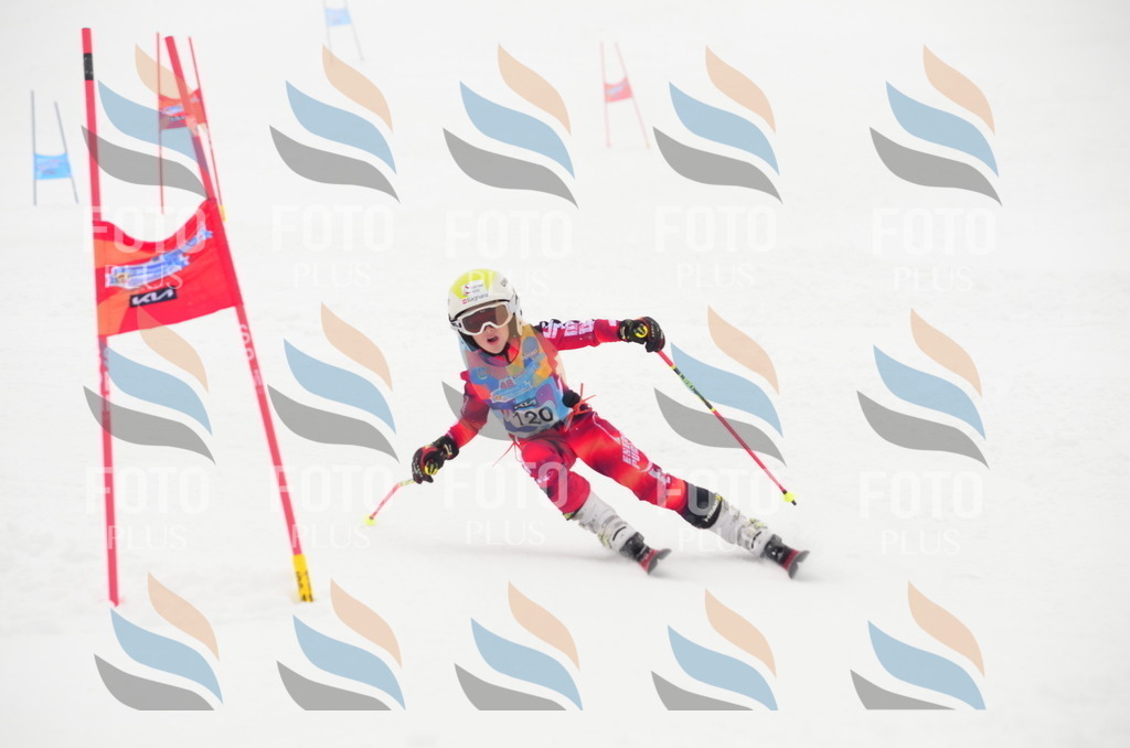 C1542 | holidayphoto