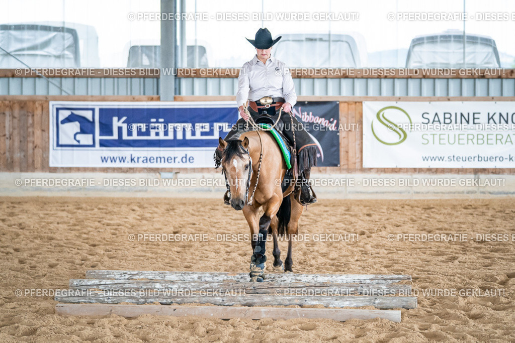 DSC07555 | Pferdegrafie