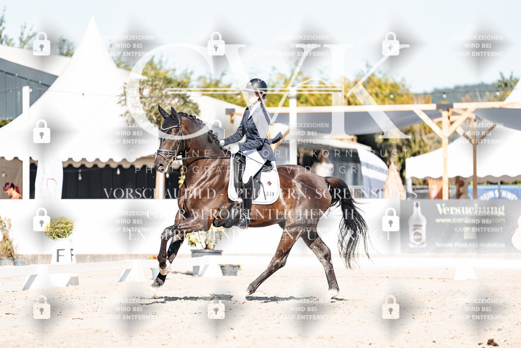 CK907827 | Turnierfotografie Pferdefotografie Trier Rheinland-Pfalz Pferdesport Reitsport Tierfotografie Sportfotografie Pferdevideo Pferdevideografie Equestrianvideography equestrianphotography  - Realisiert mit Pictrs.com