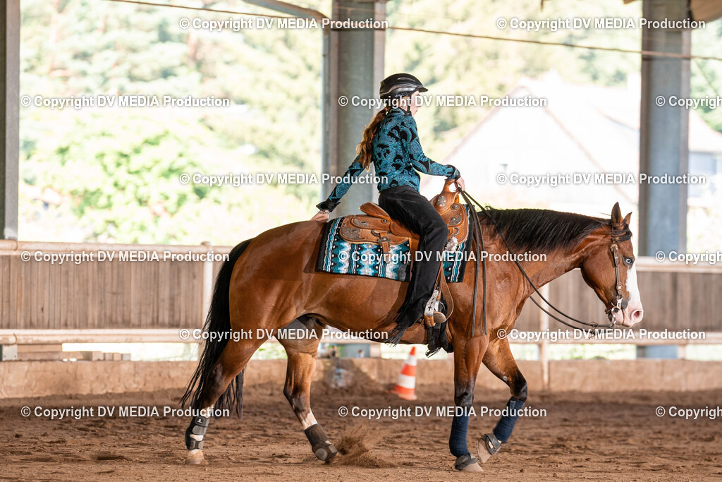 Erbach Tag 2-909 | dv-media-shop - Realisiert mit Pictrs.com