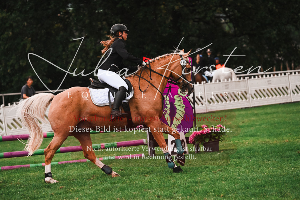 DSC_6129 | Pferde- und Turnierfotografie in Westsachsen. Pferdeportraits, Auftragszeichnungen und intuitive Kunst.