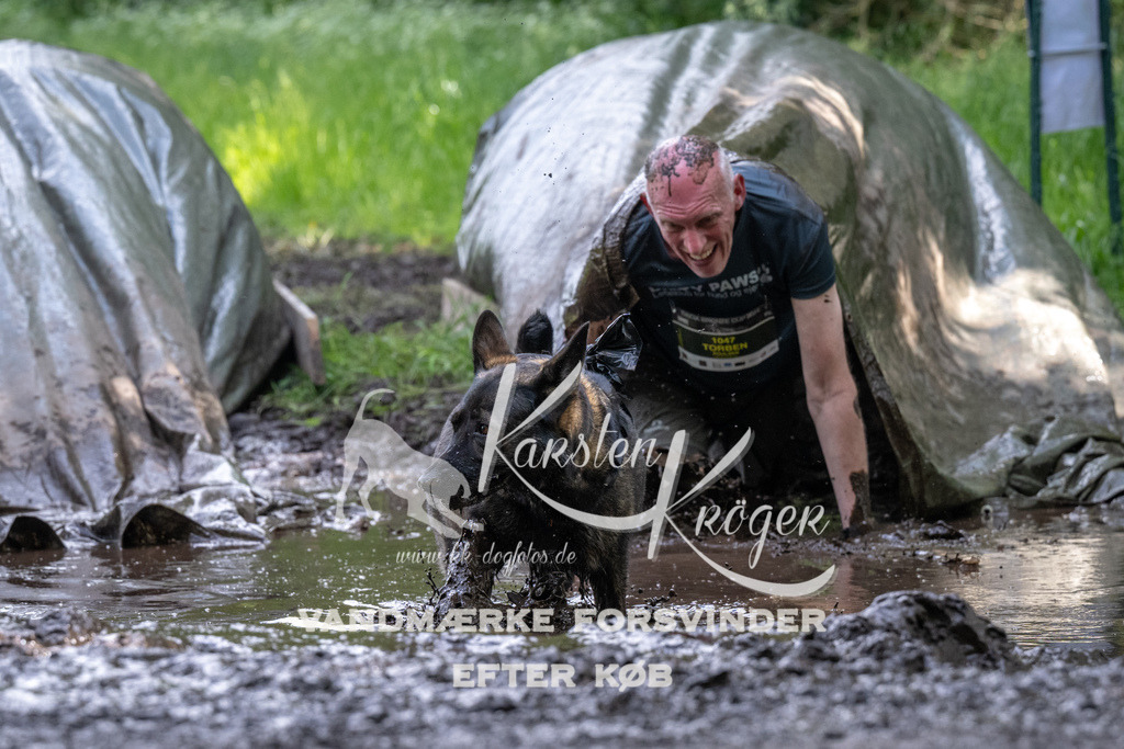 1340_ZZ91789 | kk-dogfotos