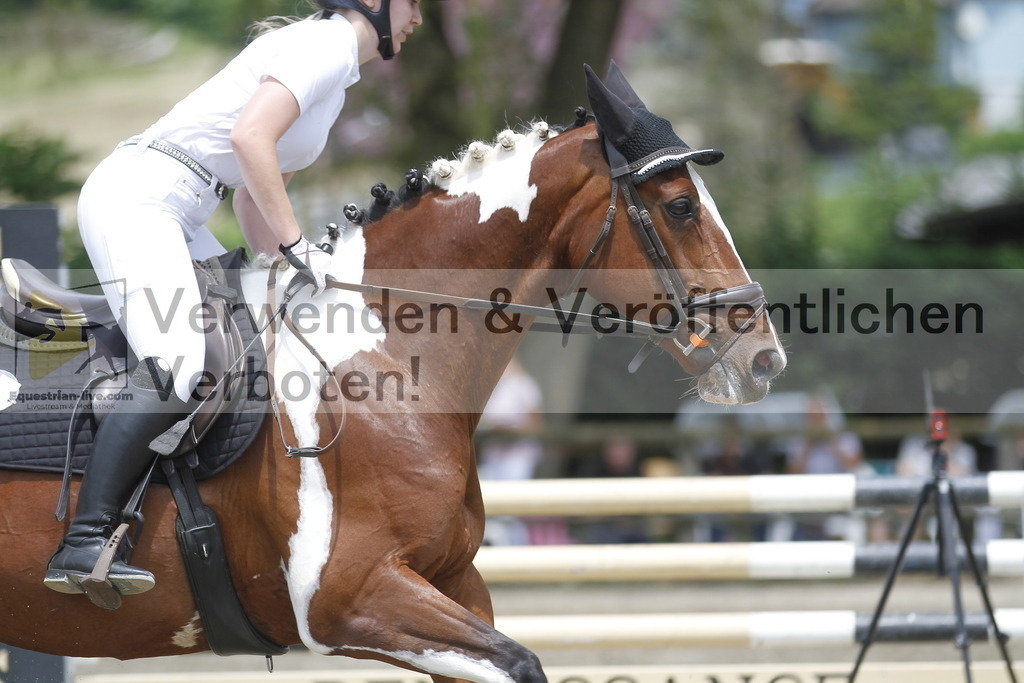 _MG_5320 | equestrian-live-com