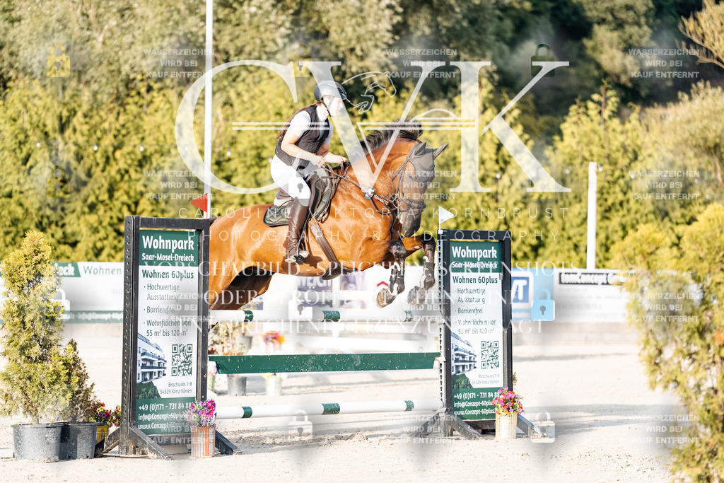 CK900818 | Turnierfotografie Pferdefotografie Trier Rheinland-Pfalz Pferdesport Reitsport Tierfotografie Sportfotografie Pferdevideo Pferdevideografie Equestrianvideography equestrianphotography  - Realisiert mit Pictrs.com