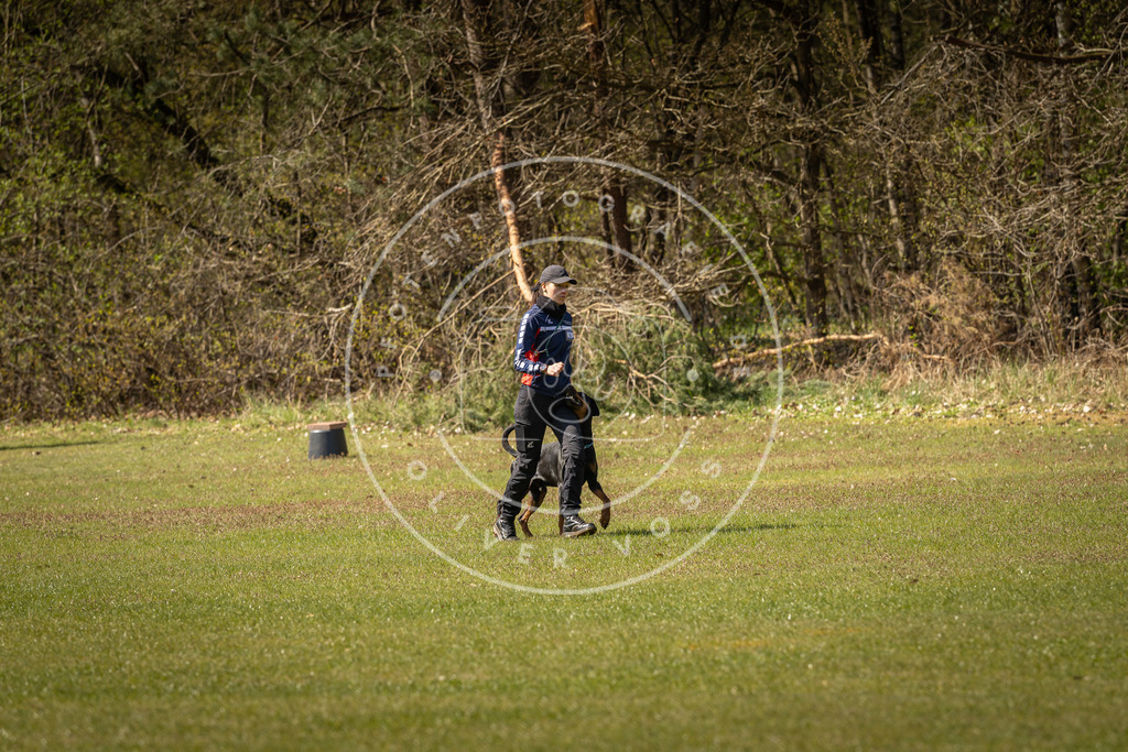 Pfotenfotografie_DV3A0769 | Hundefotografie, Tierfotograf, Pfotenfotografie, Fotoshooting Hund, Hunde Portrait, Hundesport, Hundeportraits, Heideshooting, Hunde, Sportfotograf, Hundefotograf, Turnierhundsport, THS,  - Realisiert mit Pictrs.com