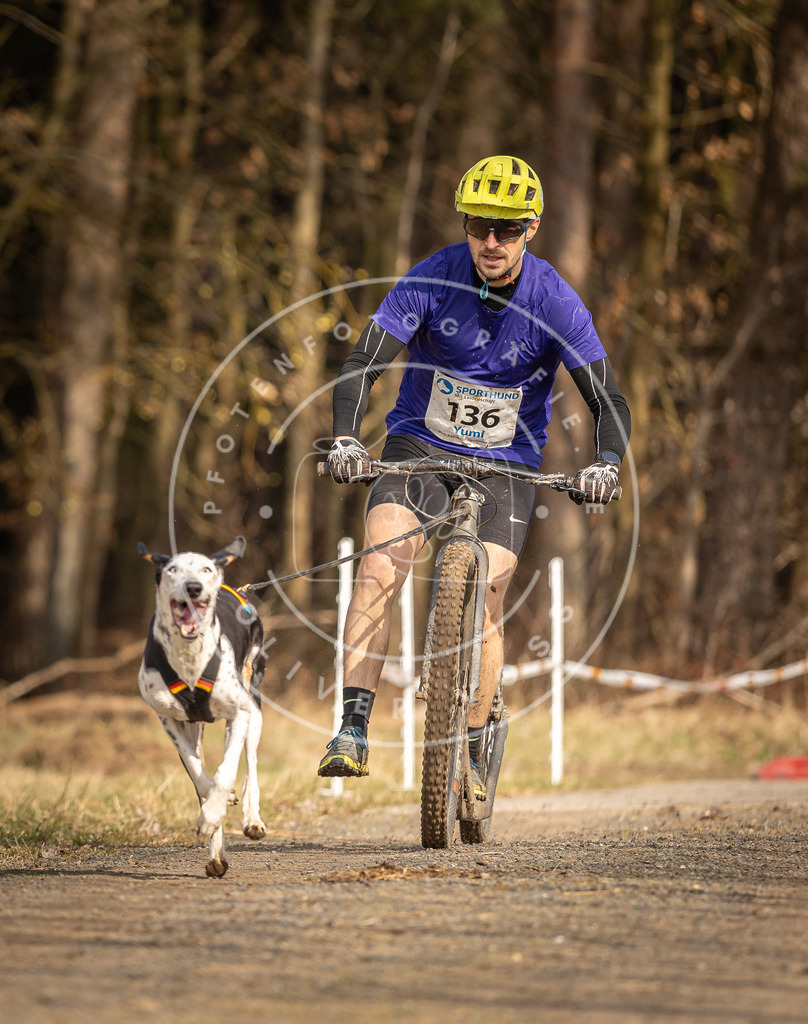 DV3A4686 | Hundefotografie, Tierfotograf, Pfotenfotografie, Fotoshooting Hund, Hunde Portrait, Hundesport, Hundeportraits, Heideshooting, Hunde, Sportfotograf, Hundefotograf, Turnierhundsport, THS,  - Realisiert mit Pictrs.com