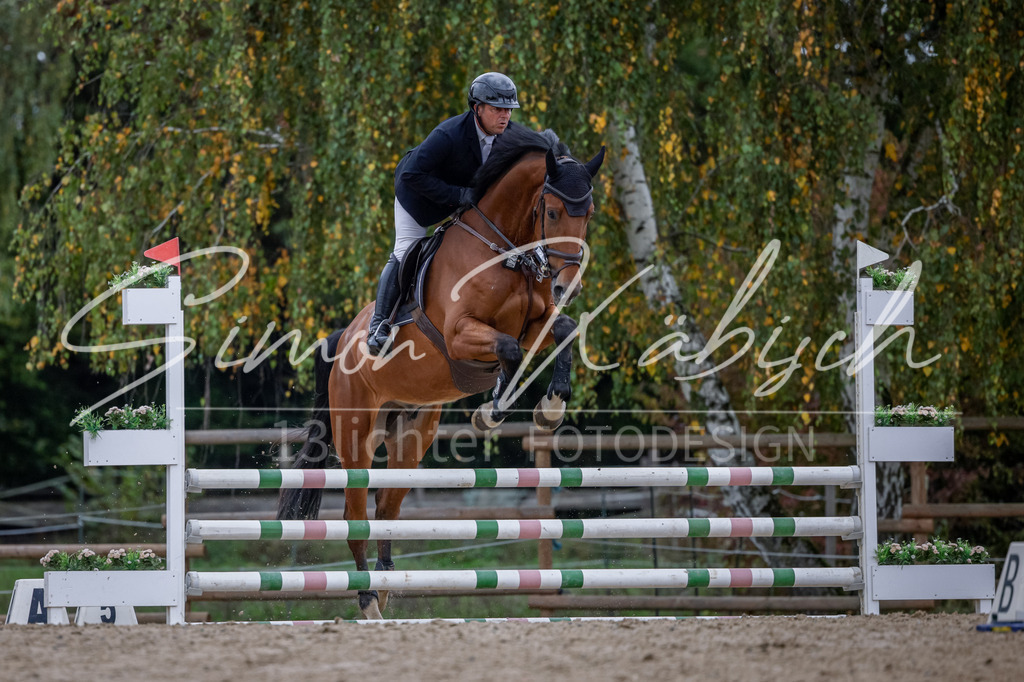 20251012-_3LI4063 | Tierfotografie Pferde, Hunde, Katzen, Haustiere.
Turnierfotografie Reitturniere, Reiten, Springreiten, Dressur in Hanau, dem Main-Kinzig-Kreis und dem Rhein-Main- Gebiet um Frankfurt