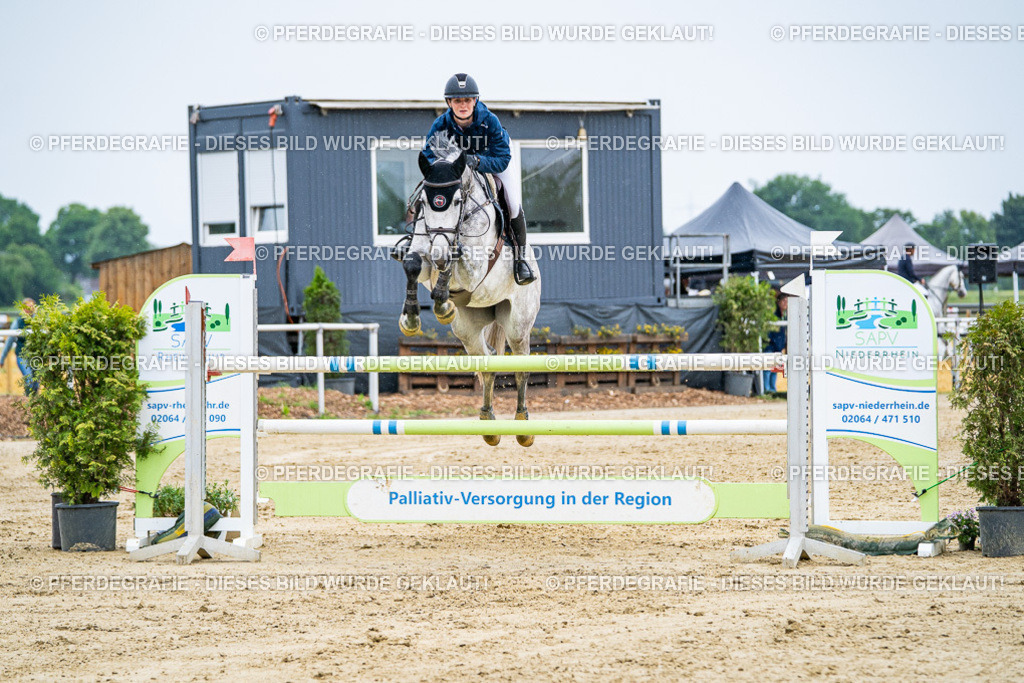 DSC08187 | Pferdegrafie