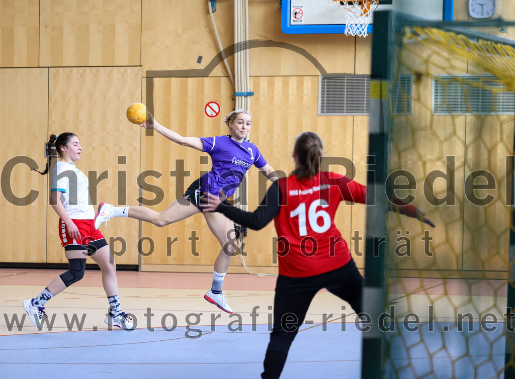 2023-03-18_074_SpVgg_Altenerding_II_gegen_HSG_Freising-Neufahrn_II | Erding, Deutschland, 18.03.2023:
Handball, Bezirksliga Frauen Altbayern 2022 / 2023, 14. Spieltag, SpVgg Altenerding II gegen HSG Freising-Neufahrn II, Endergebnis: 25:27

Eduarta Krasnigi (HSG Freising-Neufahrn, #8), Lena Prem (SpVgg Altenerding, #2), Torfrau Hanna Knecht (HSG Freising-Neufahrn, #16)

Foto: Christian Riedel / fotografie-riedel.net