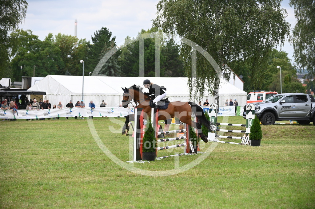 DSC_1460 | sattelsport - Realisiert mit Pictrs.com