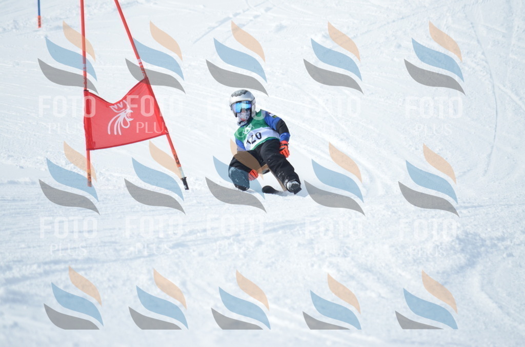 D9256 | holidayphoto