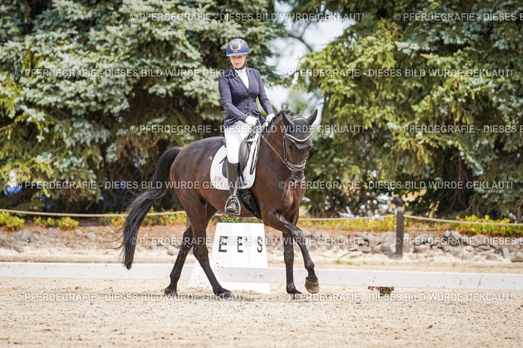 DSC03496 | Pferdegrafie