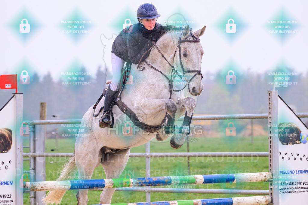 10042026-Mammendorf-Prfg14-0142 | Fokus Hufschlag Fotografie - Realisiert mit Pictrs.com