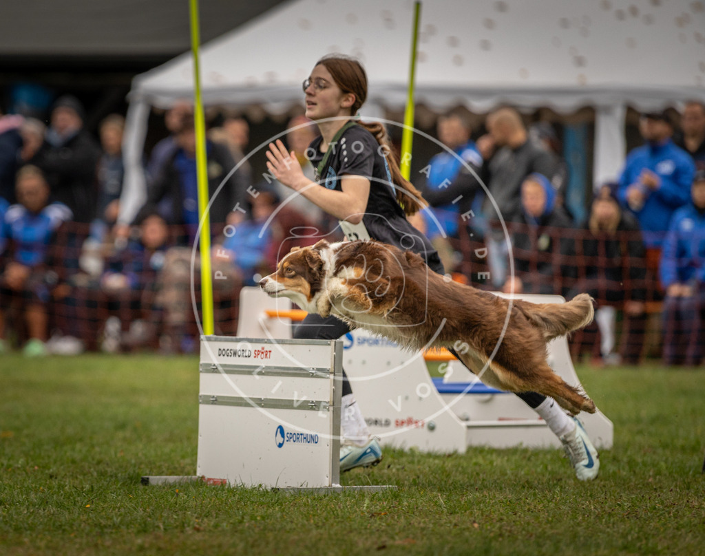 Pfotenfotografie_DV3A6524 | Hundefotografie, Tierfotograf, Pfotenfotografie, Fotoshooting Hund, Hunde Portrait, Hundesport, Hundeportraits, Heideshooting, Hunde, Sportfotograf, Hundefotograf, Turnierhundsport, THS,  - Realisiert mit Pictrs.com