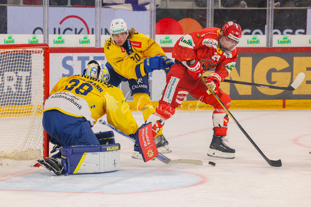 09112025_EHCB vs HCD_wb-3615 | Sportbilder, Sportfotograf, Hochzeits- und Eventfotografin, Flugshows, Portraits und Tiershooting, Aviation, Downhill, Nationalleague, Swissleague, International