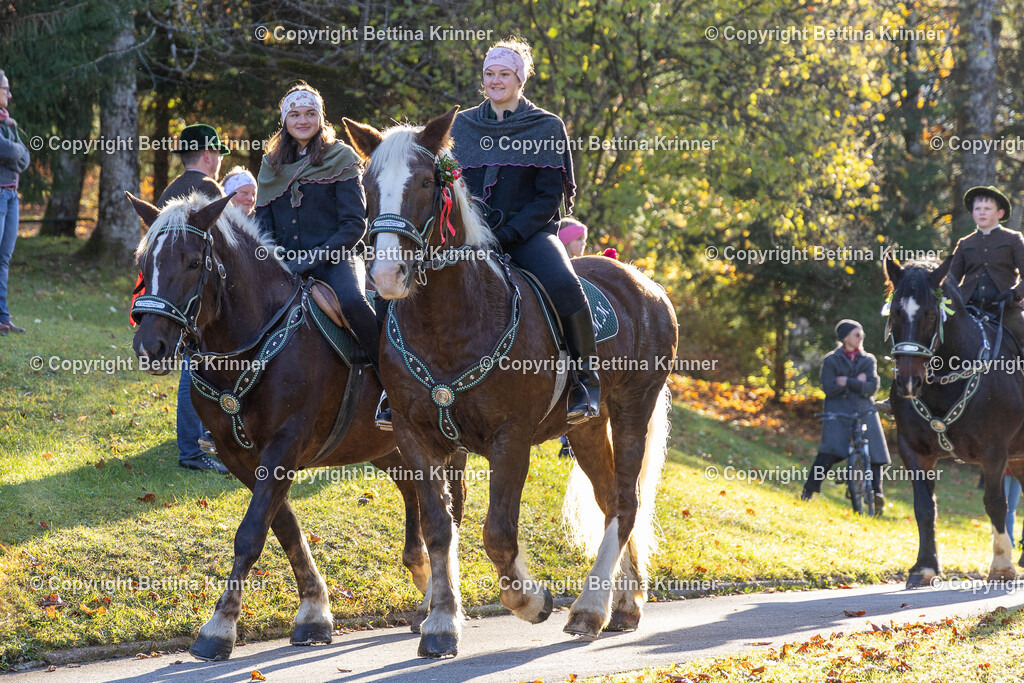 LL24-188 | foto-bettina-krinner - Realisiert mit Pictrs.com