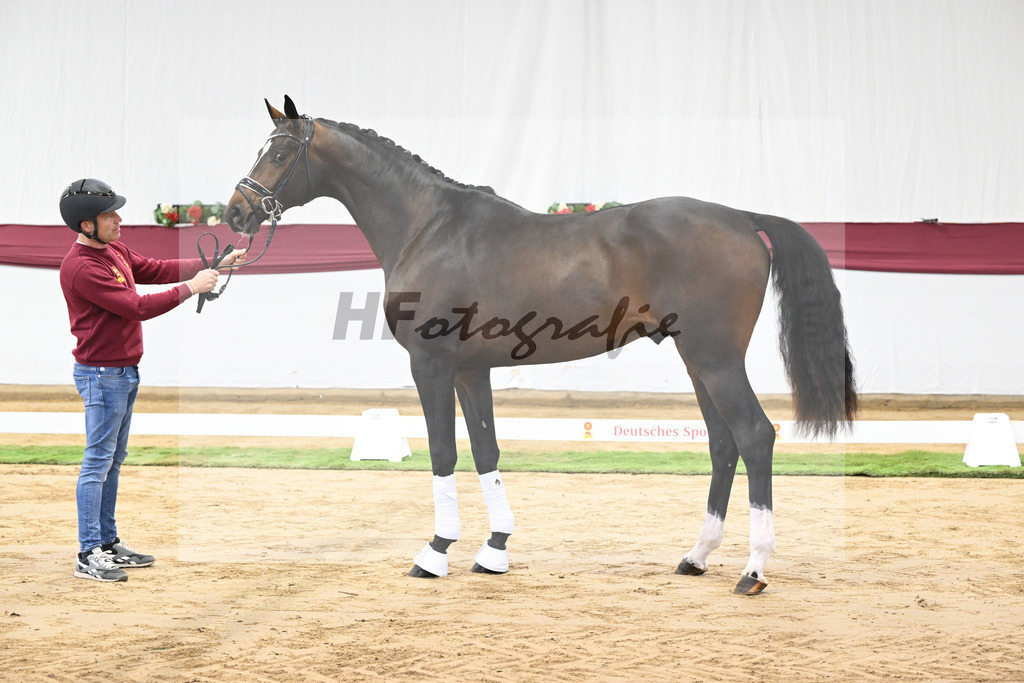 Kat-Nr. 13 Escaneno x De Niro-Christoph Wahler_47250197 | hf-fotografie - Realisiert mit Pictrs.com