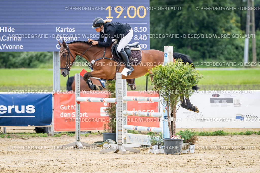 DSC05447 | Pferdegrafie