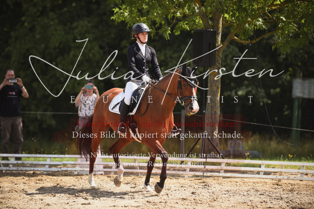 DSC_0899 | Pferde- und Turnierfotografie in Westsachsen. Pferdeportraits, Auftragszeichnungen und intuitive Kunst.