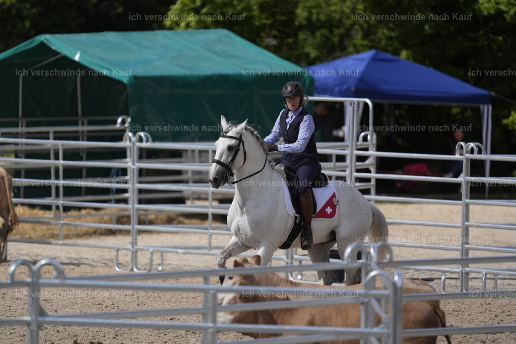 PI26_COW_Stoibphotography_DSC5567.JPG | working equitationturnier fotograf videograf stoibphotography marixx film working equitation deutschland reitsport turnierfotografie eventfotografie equestrian events