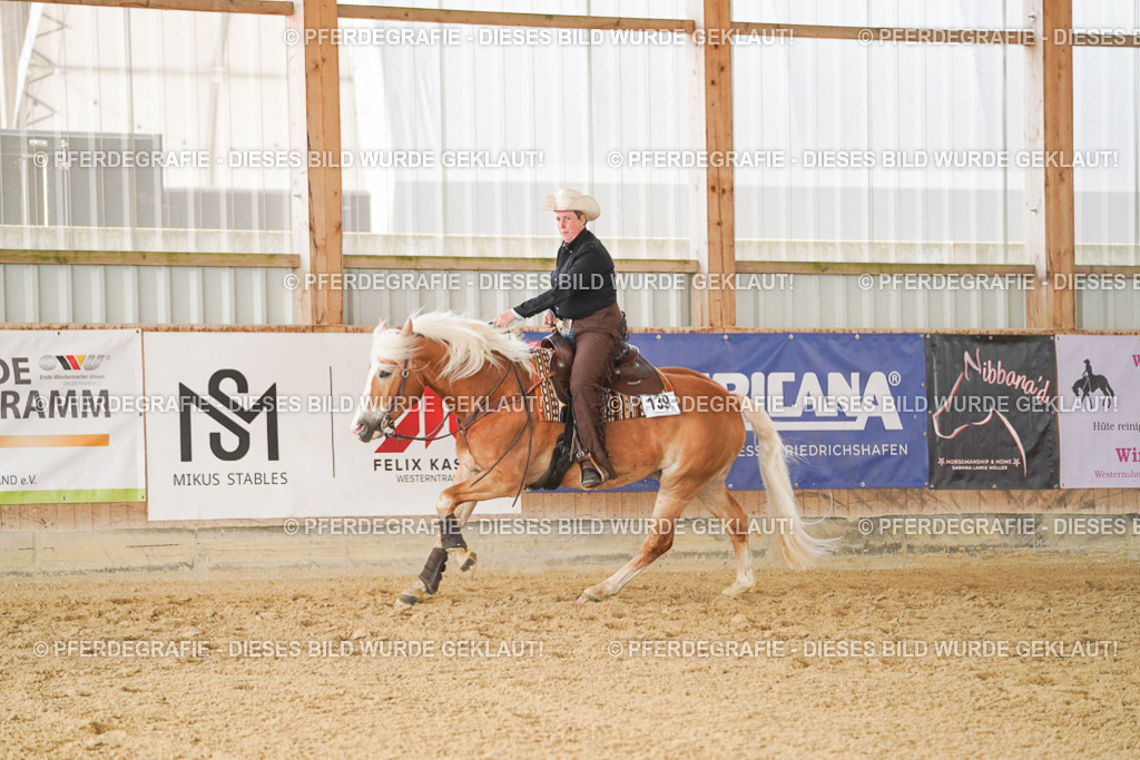 DSC01760 | Pferdegrafie