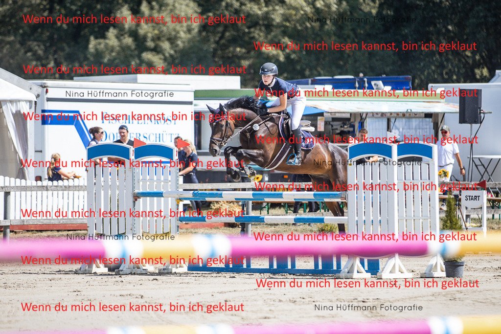 BK1A6563 | Turnierbilder Turnierfotos Nina Hüffmann Turnierfotografie Pferdefotografie Tierzeichnung Haustierzeichnung Pferdezeichnung Hundezeichnung Videograf  - Realisiert mit Pictrs.com