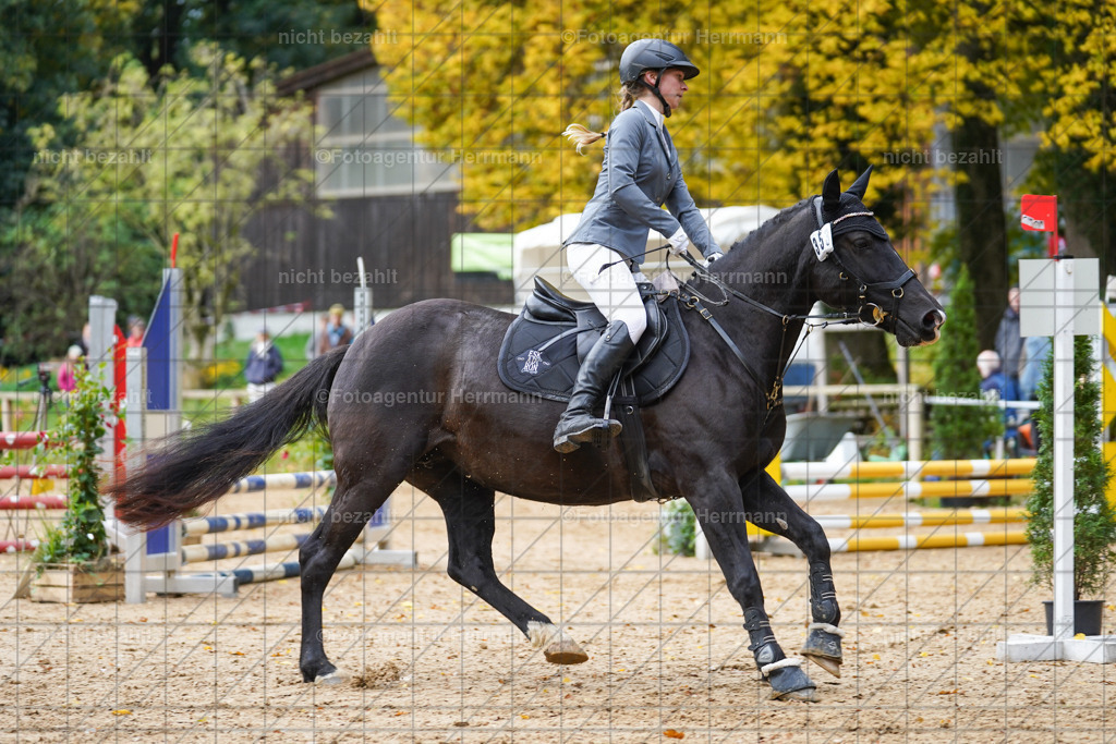 20221009-FAH08424 | Diessen am Ammersee, 2022, Dressur- und Springturnier, Reitsportbilder, Turnierfotografen Bayern, Pferdefotografen, Fotoagentur Herrmann, Turnierbilder