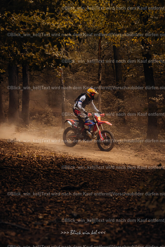 E68A7842 | blick_win_kel