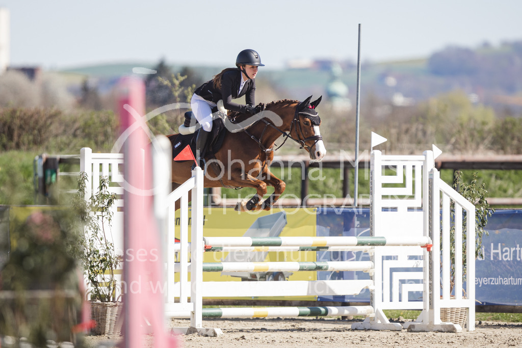 220416_2_A-Springen-252 | Frühlingsfest der Pferde
Herford
16.April 2022
02 Springprüfung Kl. A** geschlossen