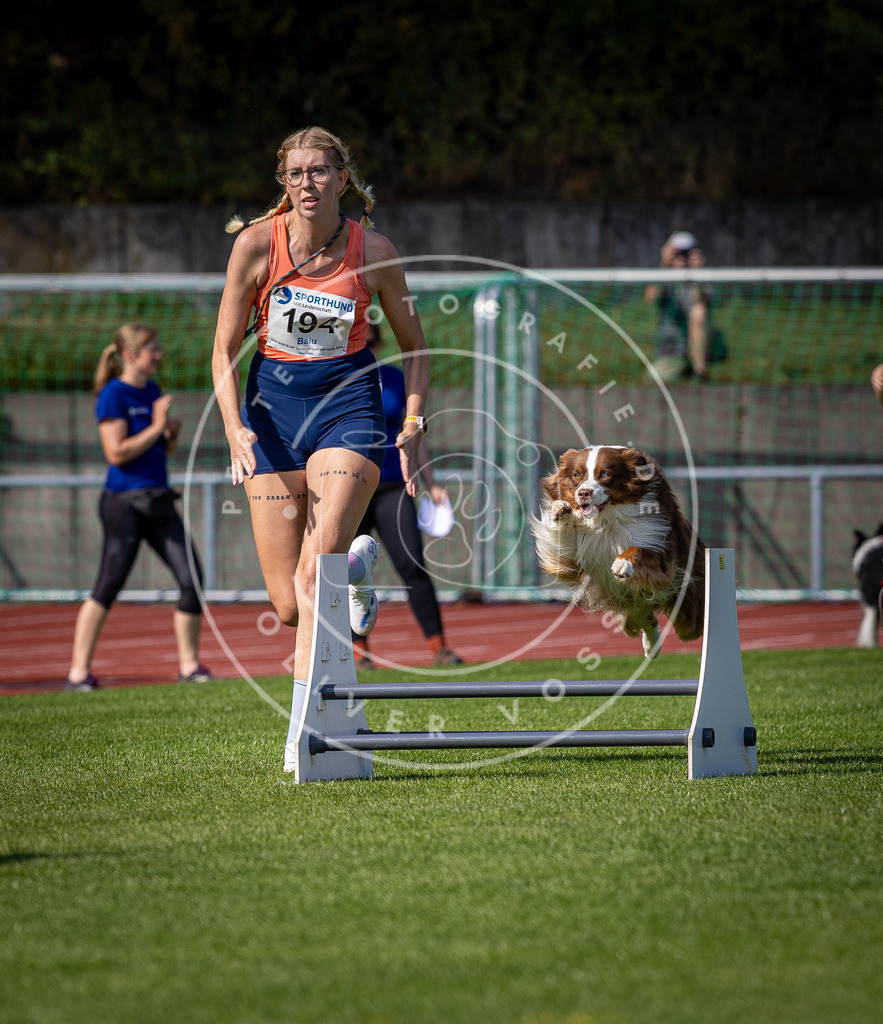 Pfotenfotografie_DV3A0692 | Hundefotografie, Tierfotograf, Pfotenfotografie, Fotoshooting Hund, Hunde Portrait, Hundesport, Hundeportraits, Heideshooting, Hunde, Sportfotograf, Hundefotograf, Turnierhundsport, THS,  - Realisiert mit Pictrs.com