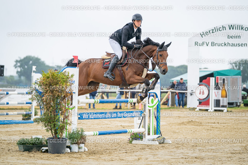 DSC01442 | Pferdegrafie