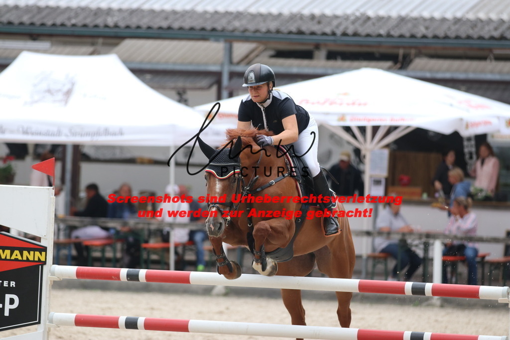 IMG_8164 | lmwpictures - Realisiert mit Pictrs.com