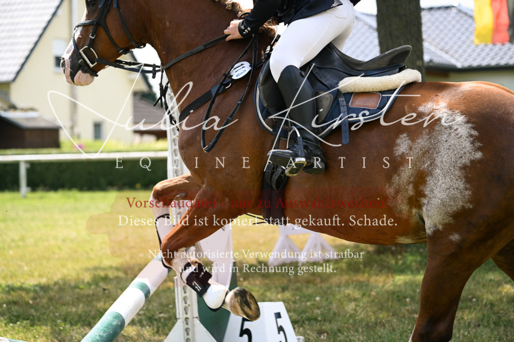 DSC_9223 | Pferde- und Turnierfotografie in Westsachsen. Pferdeportraits, Auftragszeichnungen und intuitive Kunst.