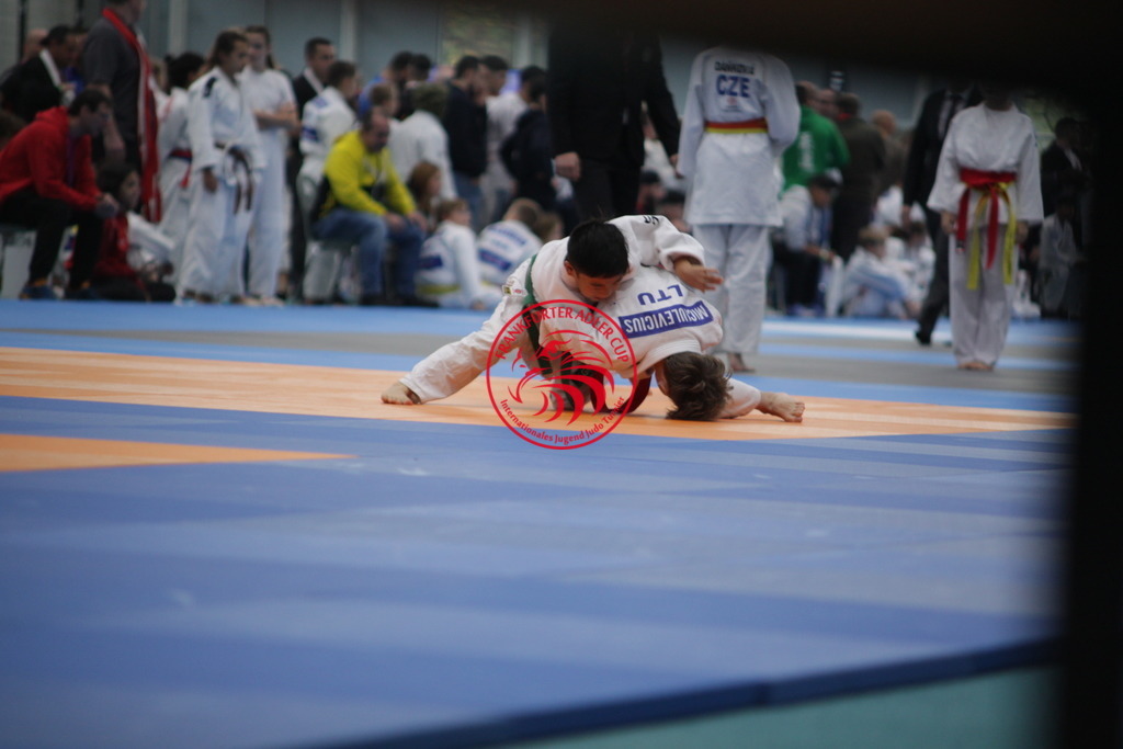 IMG_2703 | Fotos vom Adler Cup - Pictures from Adler Cup

Hier findet Ihr alle Eindrücke und großen Momente der Adler Cup Wochenenden. Here you will find all impressions and great moments of the Adler Cup weekends. - Realisiert mit Pictrs.com