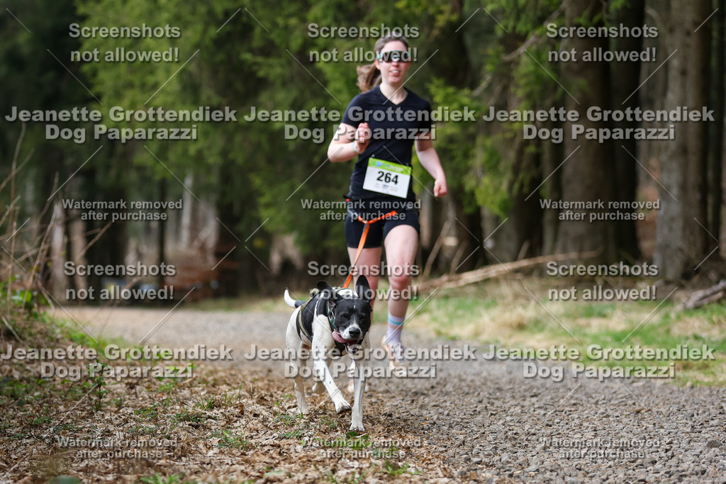 Dog Paparazzi - VCC26-379 | Dog Paparazzi Jeanette Grottendiek Fotografie & Videografie - Realisiert mit Pictrs.com