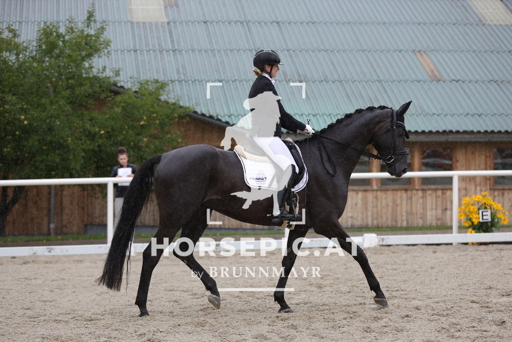 0P6A0482 | Willkommen bei Brunnmayr - Design & Fotografie – Ihrem Spezialisten für Reitturniere und Pferdeveranstaltungen in Oberösterreich, Salzburg und Bayern! Seit über 17 Jahren sind wir leidenschaftlich dabei.