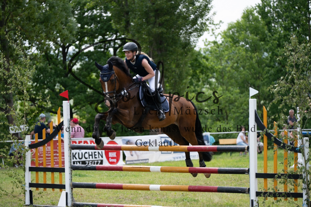 A7V07401 | Pferdefotograf