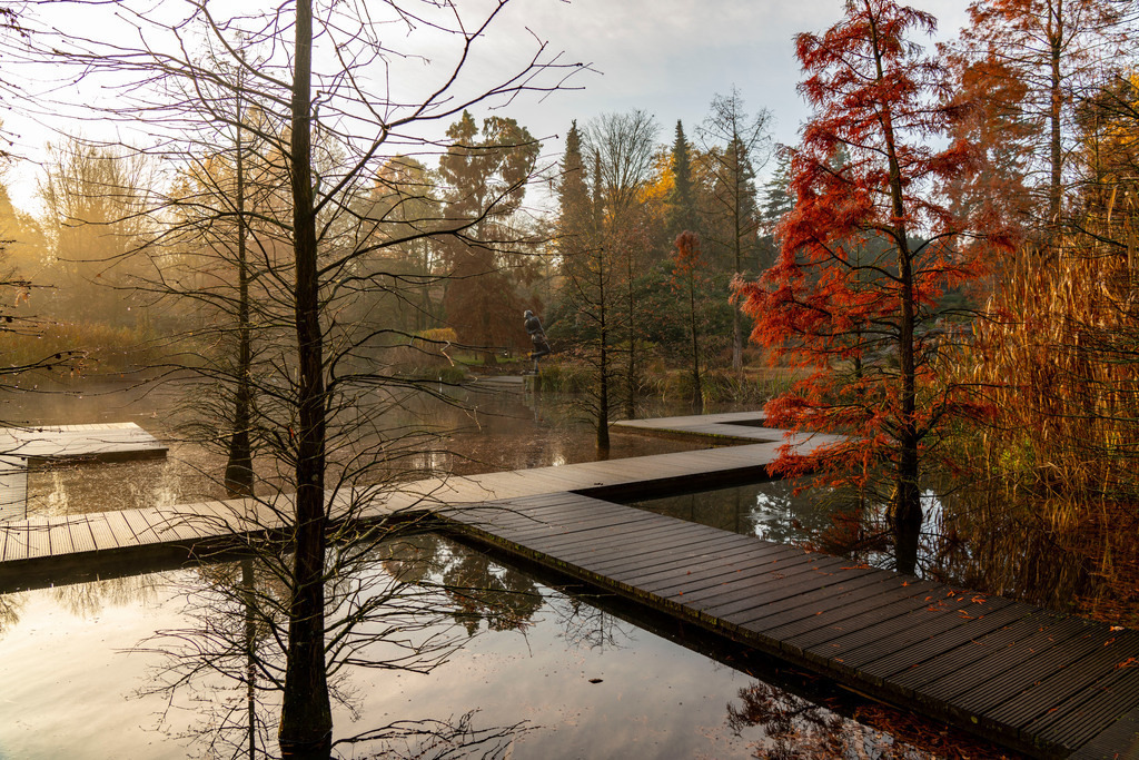 JT-201123 | Der Grugapark, Essen, Botanischer Garten, Parkanlage für Freizeit und Naherholung, am Waldsee, Holzstege, Herbst, Essen, NRW, Deutschland,  - Realisiert mit Pictrs.com