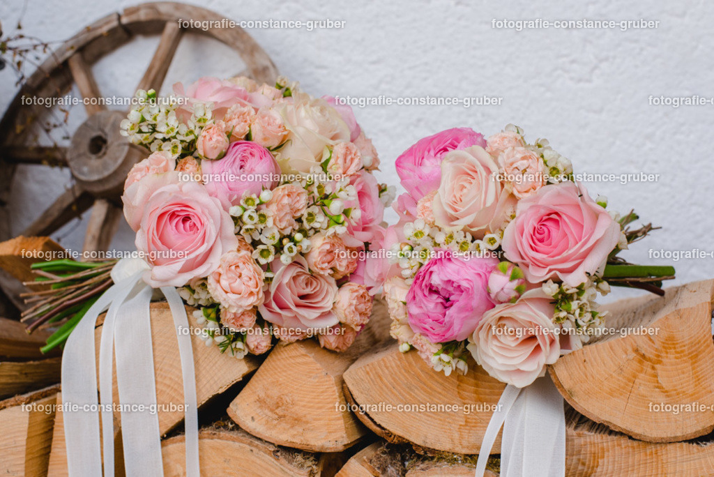 1017 | Fotografie Constance Gruber - Realisiert mit Pictrs.com