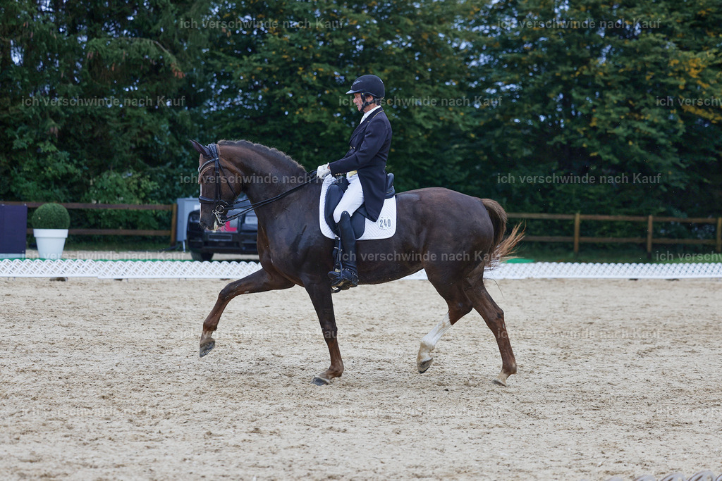 8_2-240-DRESSUR S_  -StoibPH-4462 | working equitationturnier fotograf videograf stoibphotography marixx film working equitation deutschland reitsport turnierfotografie eventfotografie equestrian events